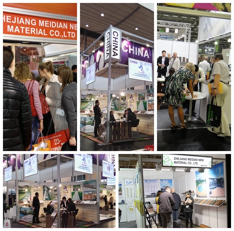 Zhejiang MEIDIAN WPC Decking Factory